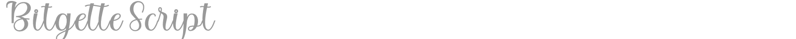 Bitgette Script font preview